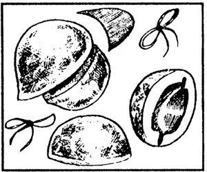 Чук и Гек из ореховых скорлупок: необходимые материалы