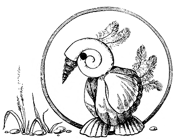 Поделка из ракушек - попугай