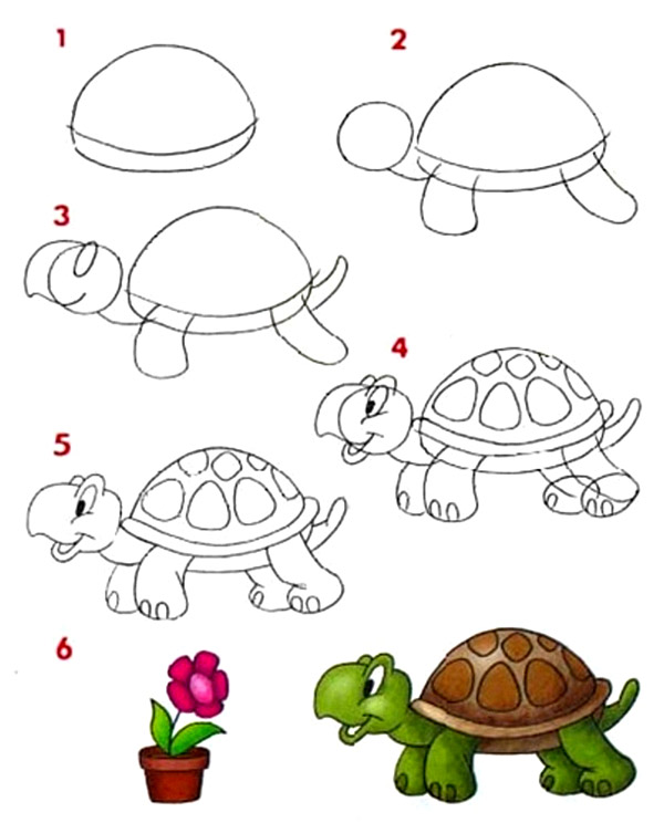 Как нарисовать черепаху поэтапно карандашом