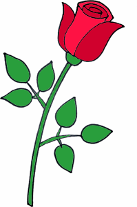 Рисуем розу