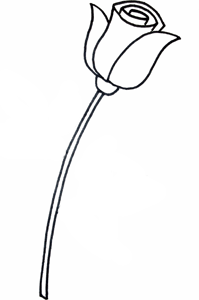 образец как нарисовать розу