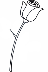 Как рисовать розу поэтапно карандашом