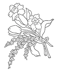 Раскраска