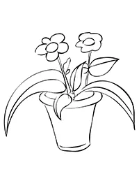 Раскраска Два цветка в горшочке