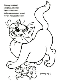 Раскраска Загадка про кота