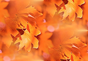 http://allforchildren.ru/pictures/pattern_autumn1/p_autumn007.jpg