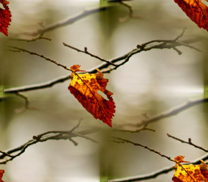 http://allforchildren.ru/pictures/pattern_autumn1/p_autumn010.jpg
