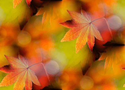 http://allforchildren.ru/pictures/pattern_autumn1/p_autumn024.png