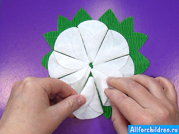 Делаем цветок из ватных дисков - приклеиваем лепестки по кругу