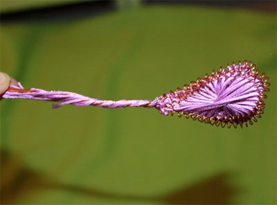 Цветы из проволоки и ниток (техника ганутель)