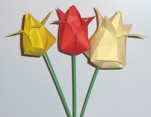 Тюльпаны из бумаги