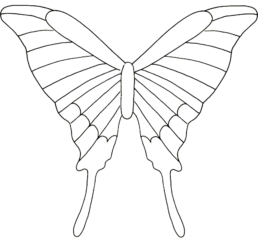 Простые крылья бабочки. Шаблон бабочки. Трафареты бабочки. Макет бабочки. Крылья бабочки контур.