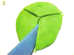 Зеленый панцирь жука