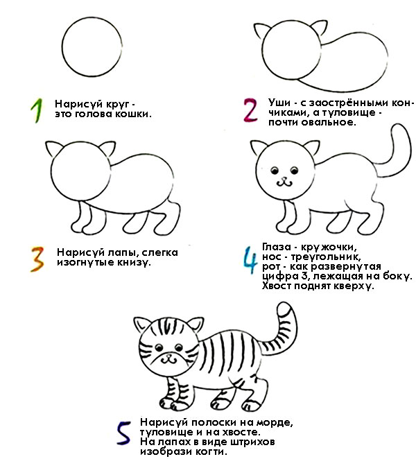 Как нарисовать идущую кошку