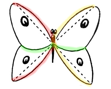 Продолжаем рисовать крылья бабочки