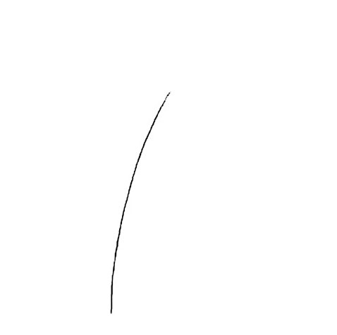 Кривая линия - основа ствола