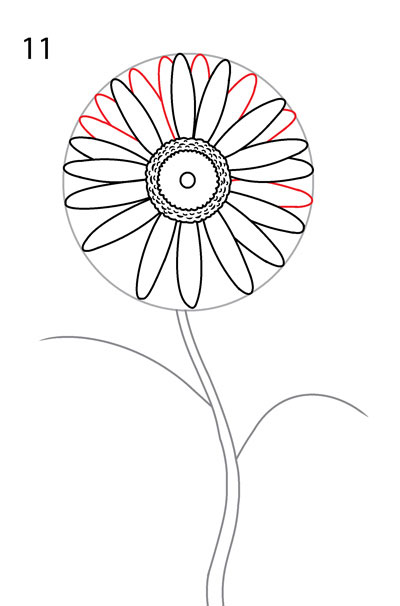 Рисуем ромашку. Шаг 11 - рисуем лепестки заднего ряда в верхней части цветка