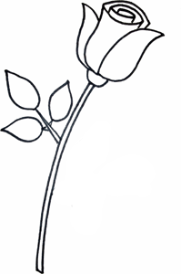 Рисуем лист розы
