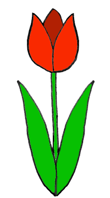 Красный тюльпан. Рисунок