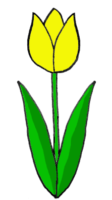 Жёлтый тюльпан. Рисунок