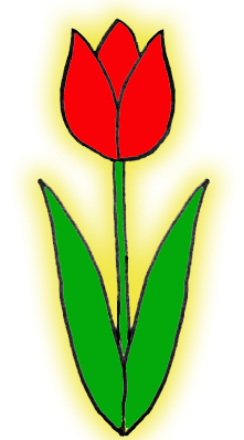 Рисунок тюльпана