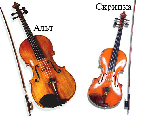 Альт и скрипка