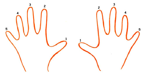 Нумерация пальцев в музыке