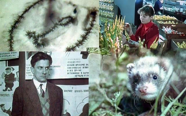 Киножурнал «Хочу всё знать». Выпуск №125 (1979)