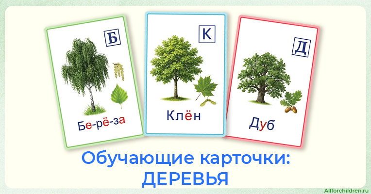 Обучающие карточки: деревья и животные