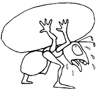 Тяжёлая ноша муравья