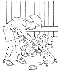 ������� �������� �����-������� � �������