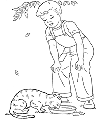 �����, �����, �������