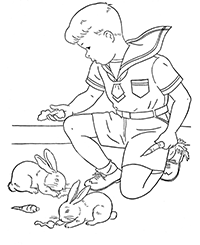 ������� ������ ��������