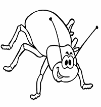 Весёлый жук