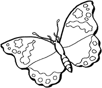Бабочка с пятнами на крыльях
