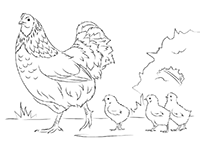 Мама-курица с цыплятами