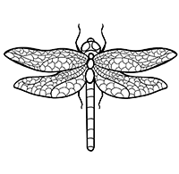  (. Odonata)S