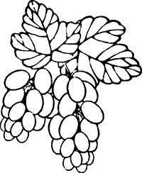 Две грозди винограда