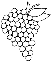 Большая гроздь винограда