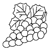 Виноград и виноградные листья