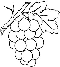 Ягоды винограда