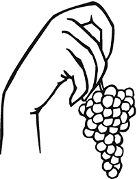 Рука с гроздью винограда