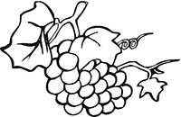 Виноградная веточка с гроздью ягод