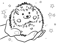 Ёжик в ладошке