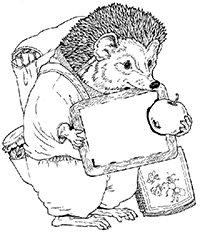 ���������� ��