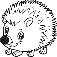 ���� - ������� �����