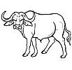 Раскраски буйволы