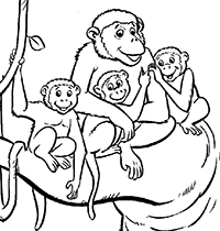 Мама-обезьяна с тремя детенышами
