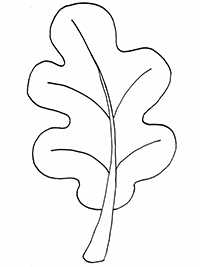 Раскраска лист дуба