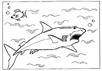 Испуганная акула
